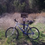 Road Bike