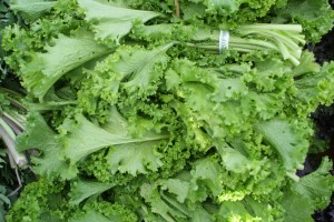 mustard greens recipes