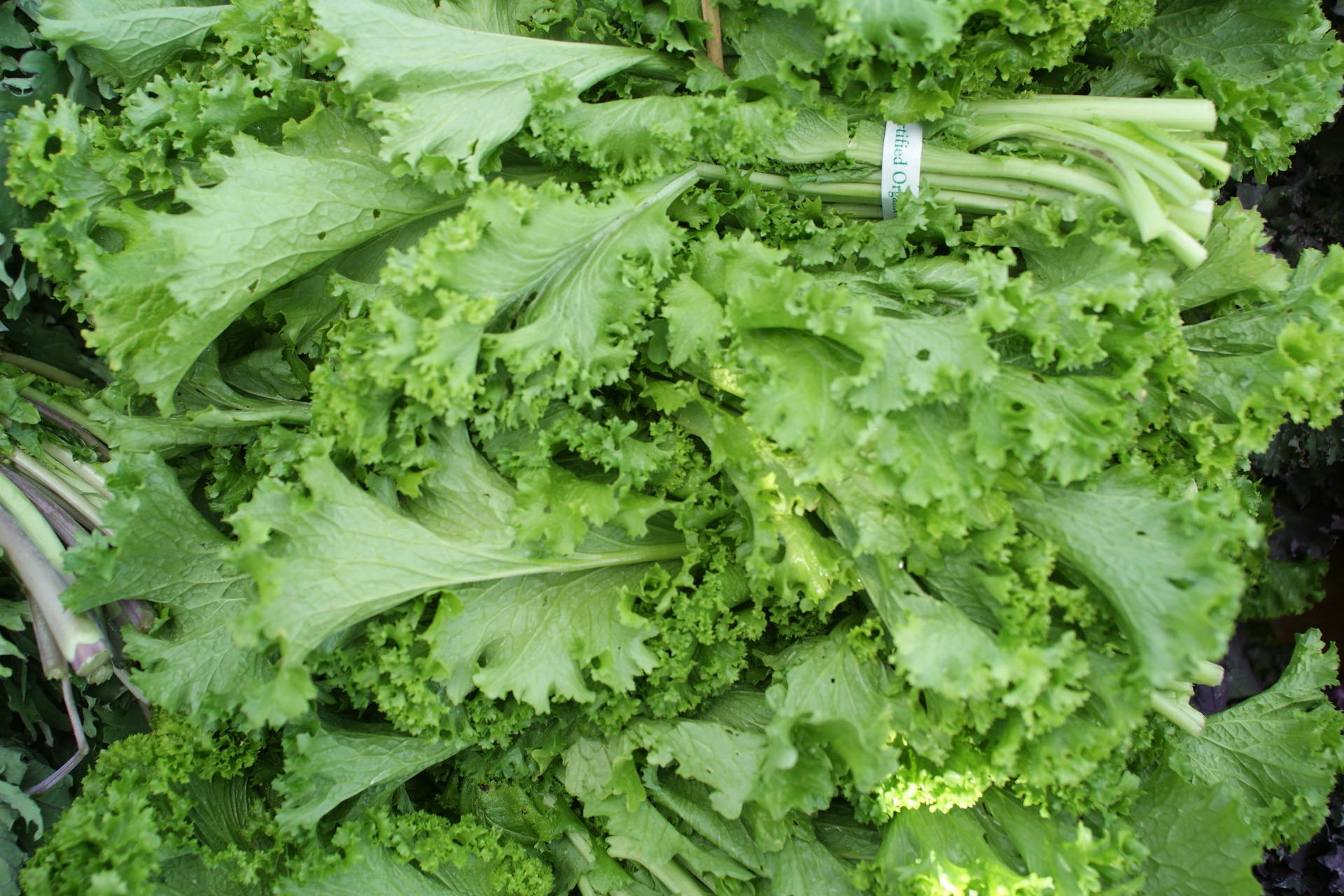 Recipe: Mustard Greens Recipes