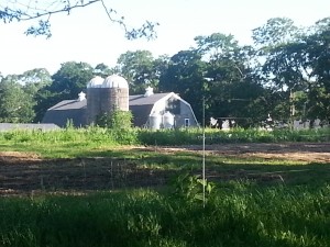 A FARM. HOW QUAINT.