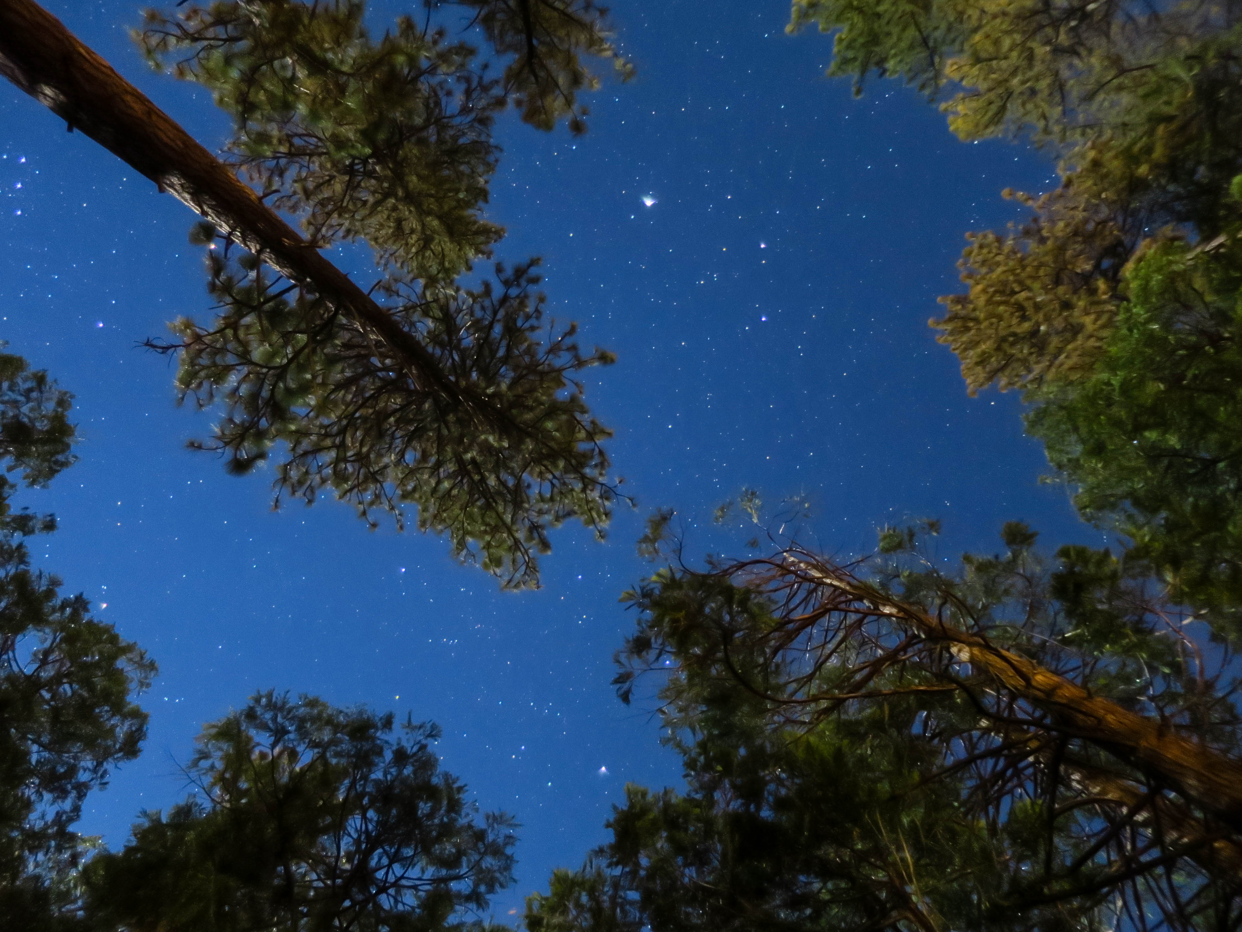 Idyllwild Night Sky