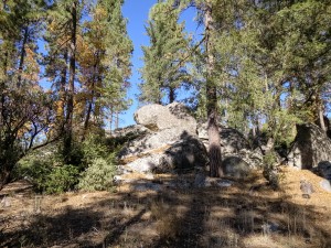 Mountain Biking in Idyllwild
