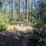 Mountain Biking in Idyllwild