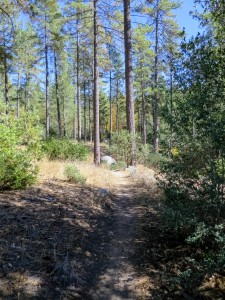  Idyllwild