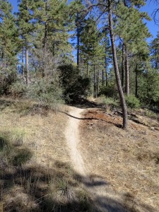 Mountain Biking in Idyllwild
