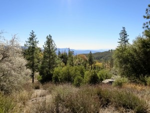 Mountain Biking